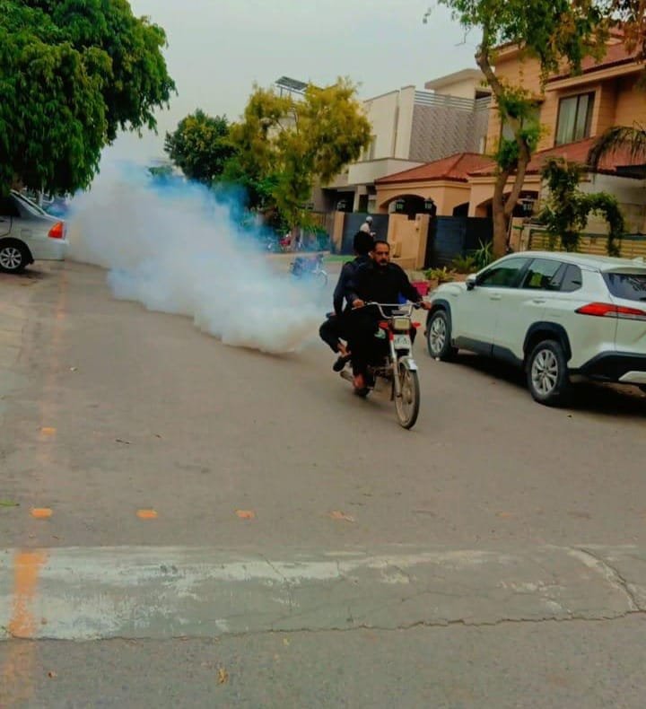WhatsApp Image 2025-04-10 at 12.48
